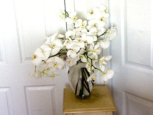 The Village Greenery Mother's Day Special