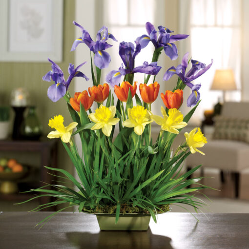 Salute to Spring