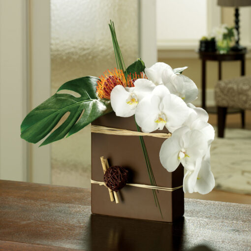 Ode to Orchids