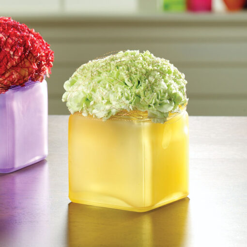 Garden Color Cubes