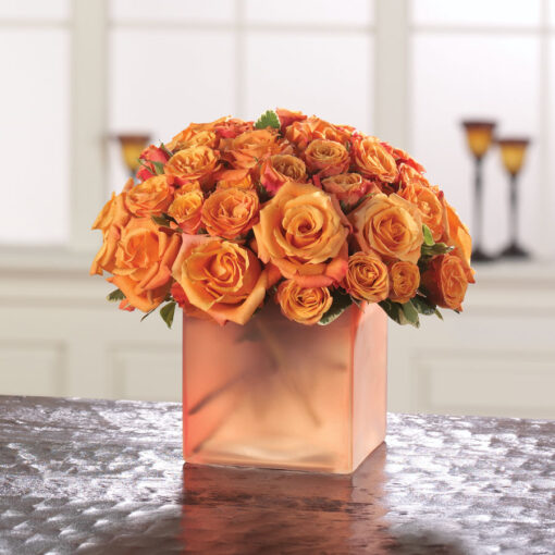 Opulent Orange Roses