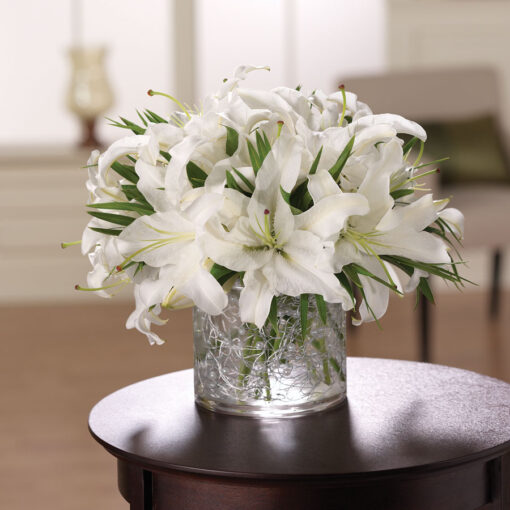 White & Wondrous