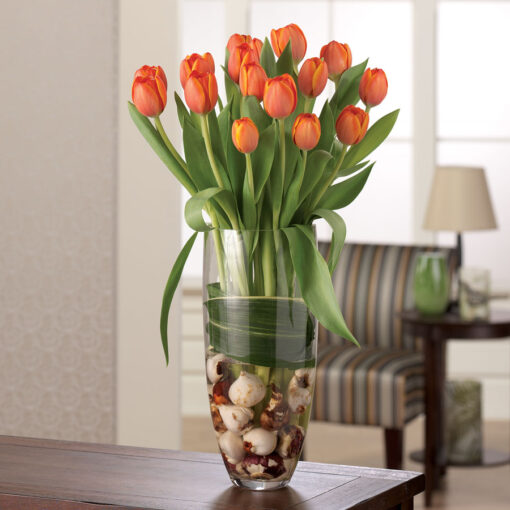 Transcending Tulips