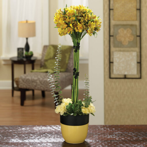 Alstroemeria Allure