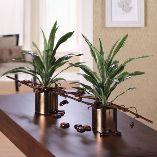 Plant Paradise
