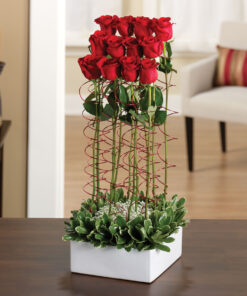 Rose Romance Garden