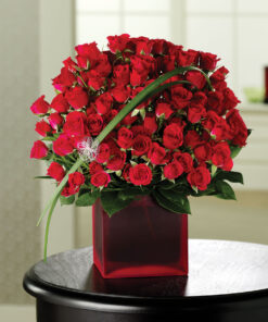 Red Roses