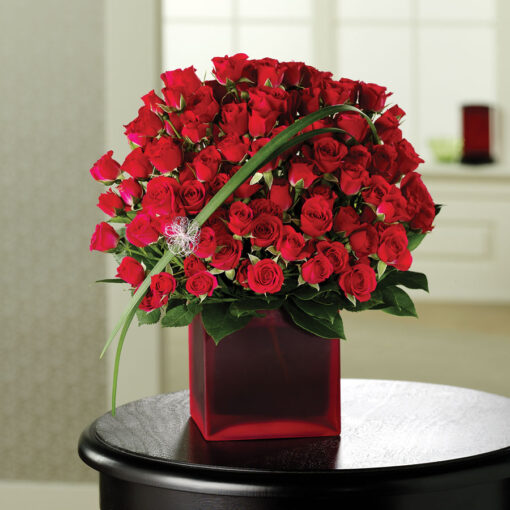 Red Roses