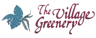 The Village Greenery Florist